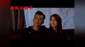 同盟国语在线观看17,揭秘剧情高潮与角色命运  第2张